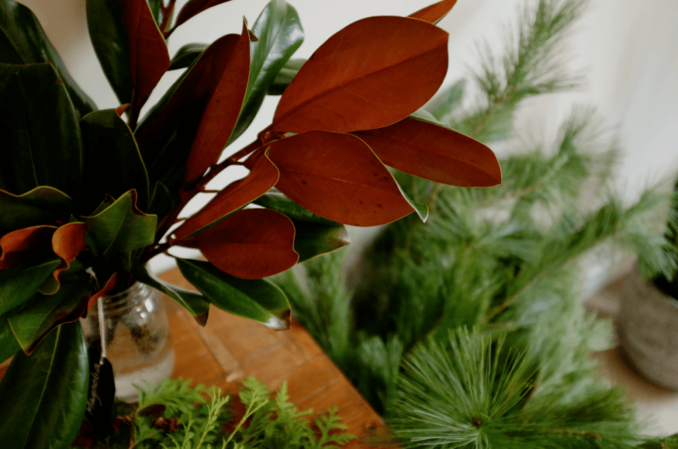 Screen-Shot-2017-12-05-at-12.06.35-AM-1024x678